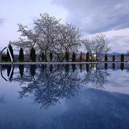 Soare-N Maramures Budesti  Bagian luar foto